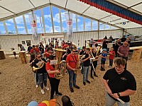 20240610_142030.jpg