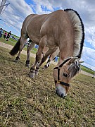 20240610_164808.jpg