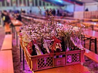 20240610_225700.jpg