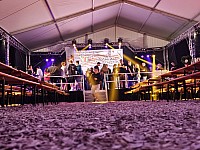 20240610_234137.jpg