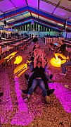 20240610_235734.jpg